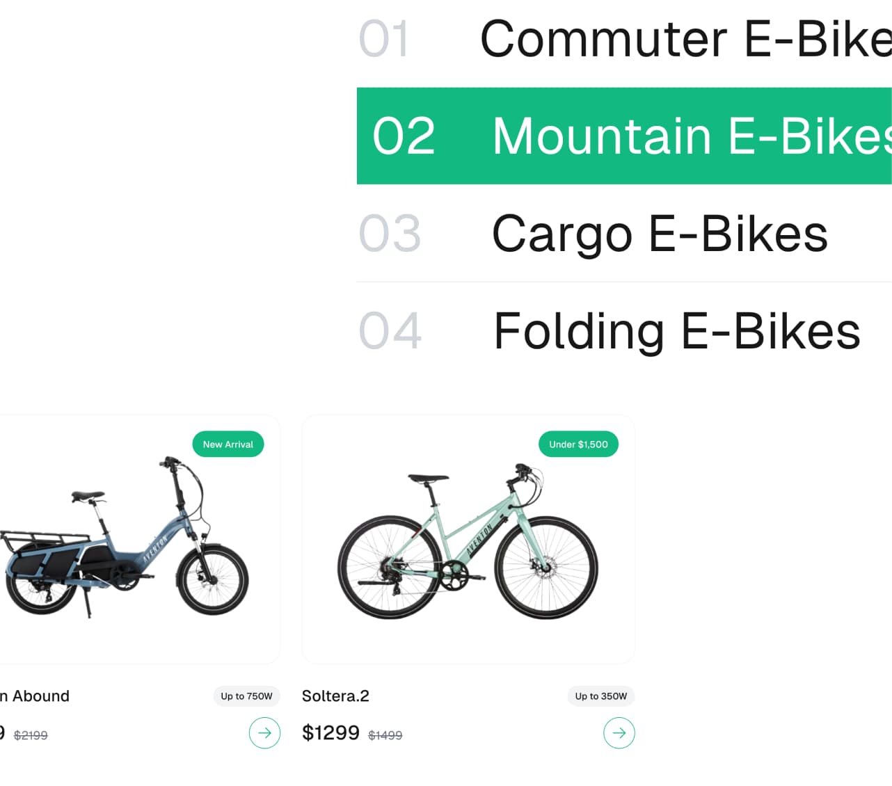Electric Bike E-commerce